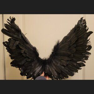 Black Feather Wings